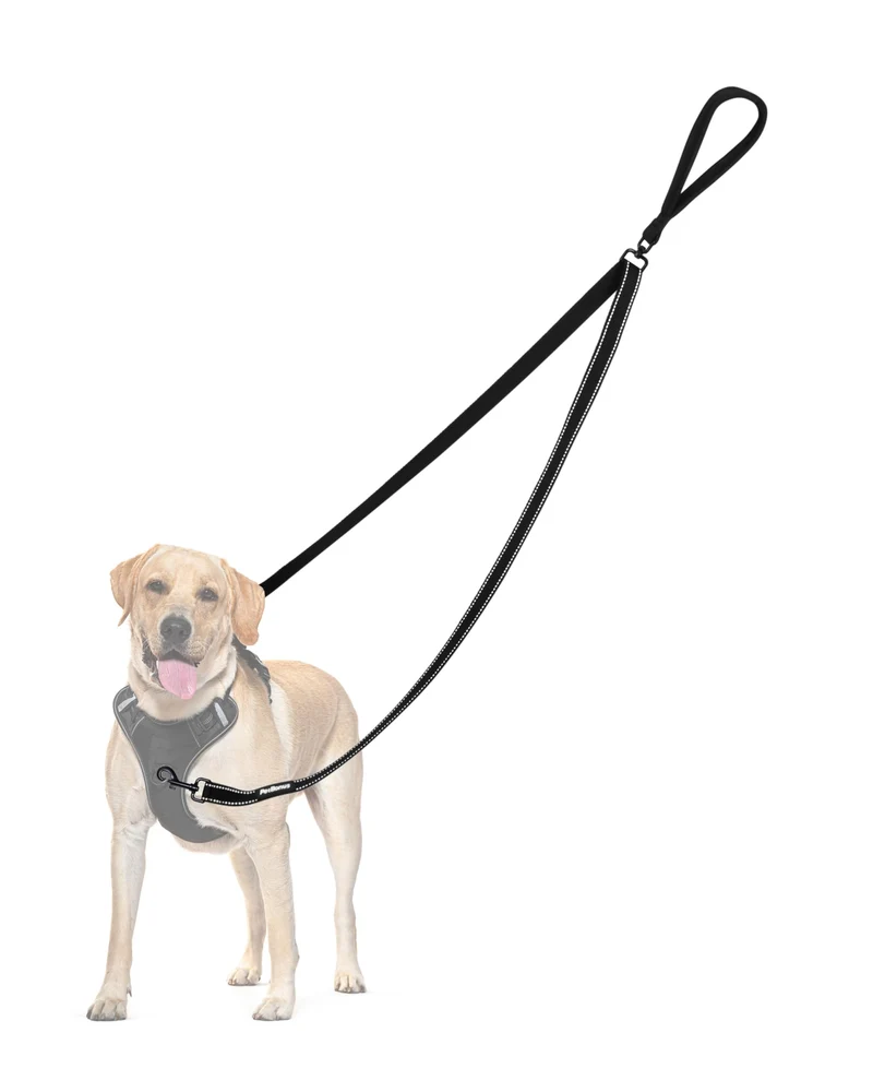PetBonus Laisse Double Point de Contrôle pour Chien – Anti-Traction et Réfléchissante (Noir)
