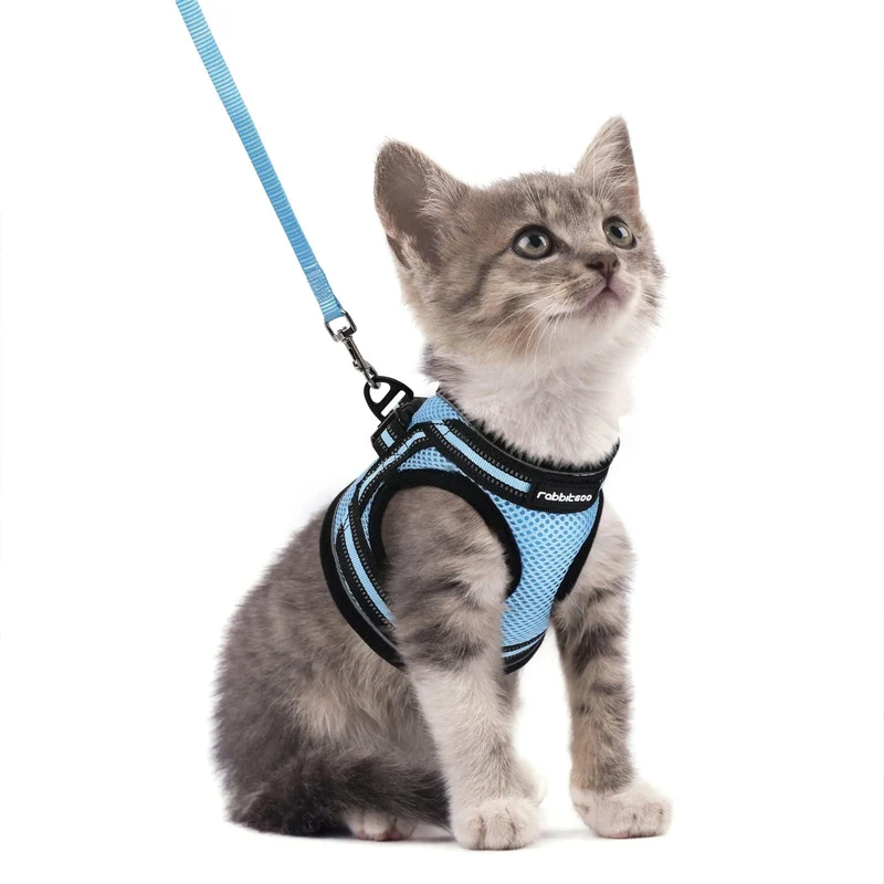 Rabbitgoo Harnais et Laisse pour Chat — Anti-Fuite, Ajustable, Réfléchissant, Bleu Clair, Taille S