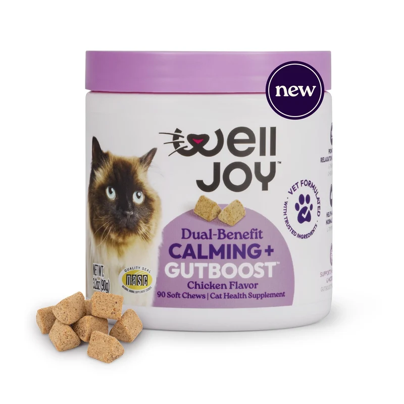 WellJoy Cat Supplément Calming+ GutBoost – Relaxation & Digestion | Formulé Vétérinaire | Fabriqué aux États-Unis | Saveur Poulet | 90 bouchées molles