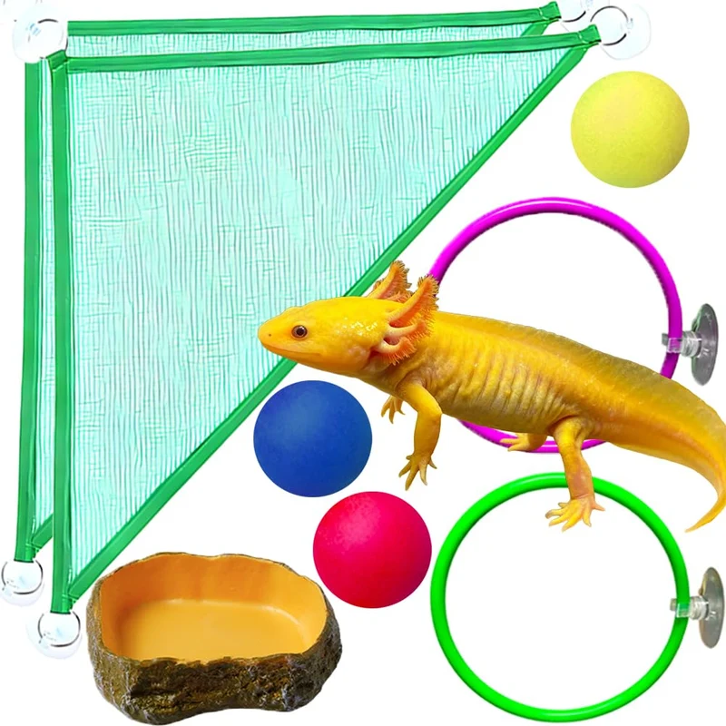 Fejapa : 8 pièces hamacs axolotl avec assiette et balles flottantes – Accessoires d'aquarium verts