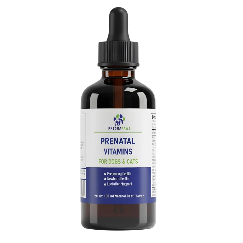 PREGNAPAWS Gouttes Prénatales Liquides pour Chiens et Chats – Goût Boeuf, 60 ml