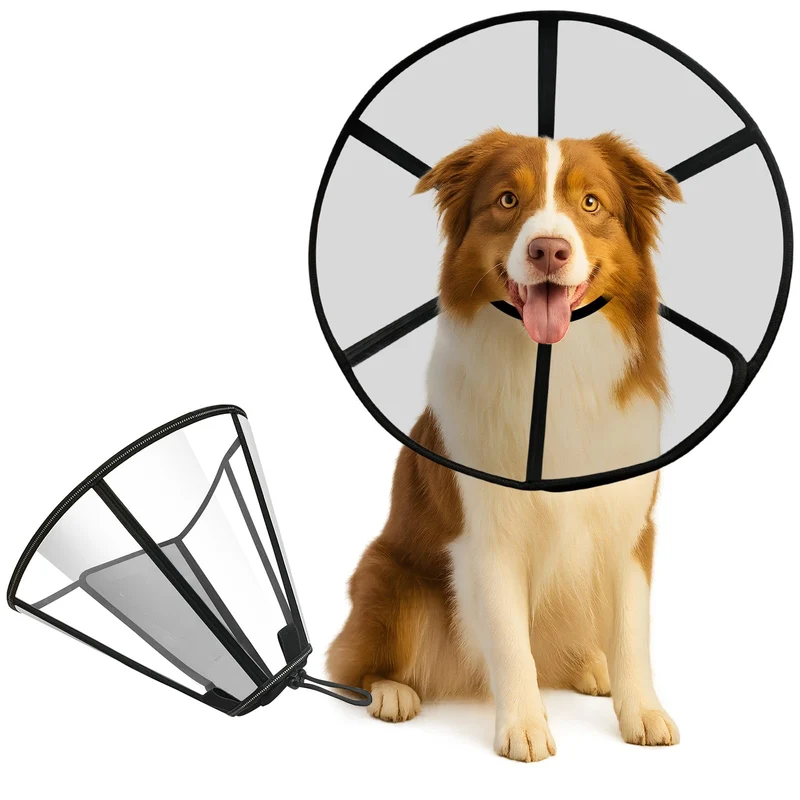 Lainergie Collier Conique Doux pour Chien – Récupération Post-Op, Confort Taille L