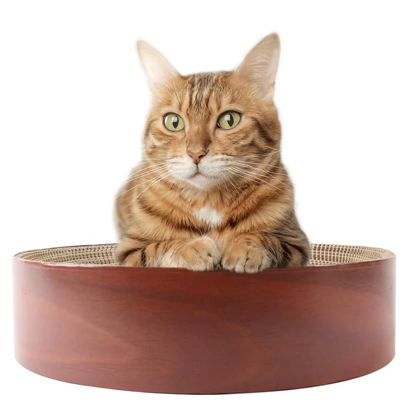 Selly's Den Grattoir en Bol de Carton pour Chat – 16 pouces, Herbe à chat Incluse