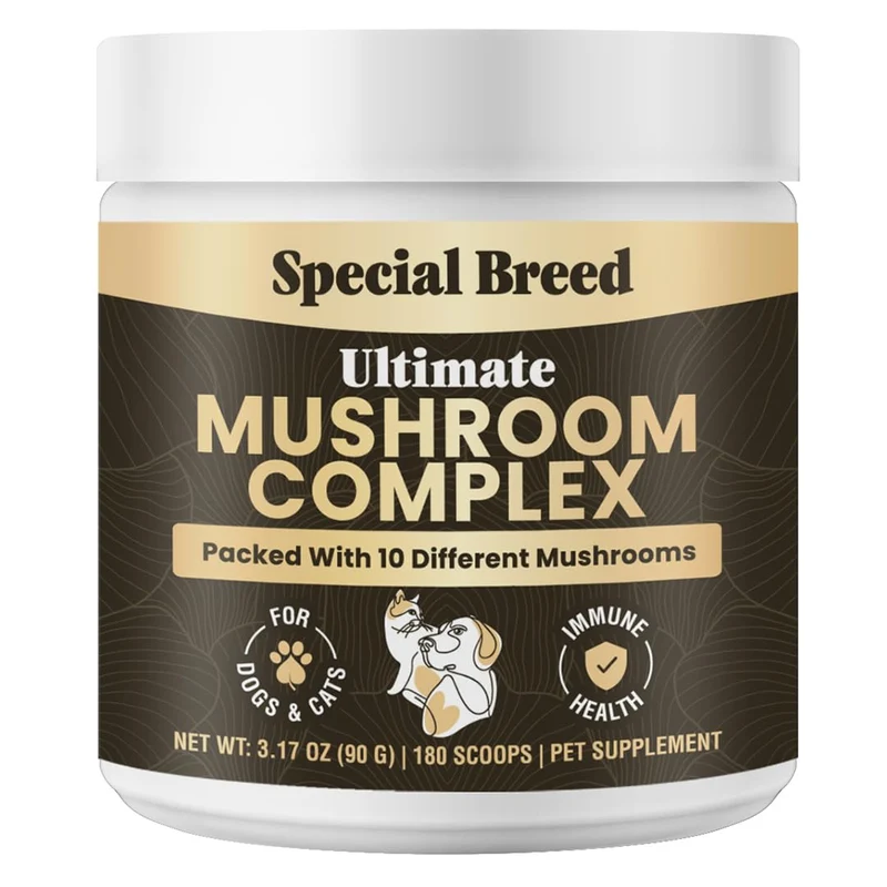 Special Breed — Poudre de champignons pour chiens et chats | Soutien immunitaire, cognition et vitalité - Mélange de dix champignons, 180 dosettes