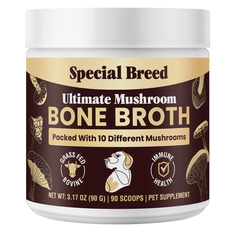 Special Breed Bouillon d'Os de Bœuf pour Chiens – Protéine Élevée, 10 Champignons Organiques & Collagène