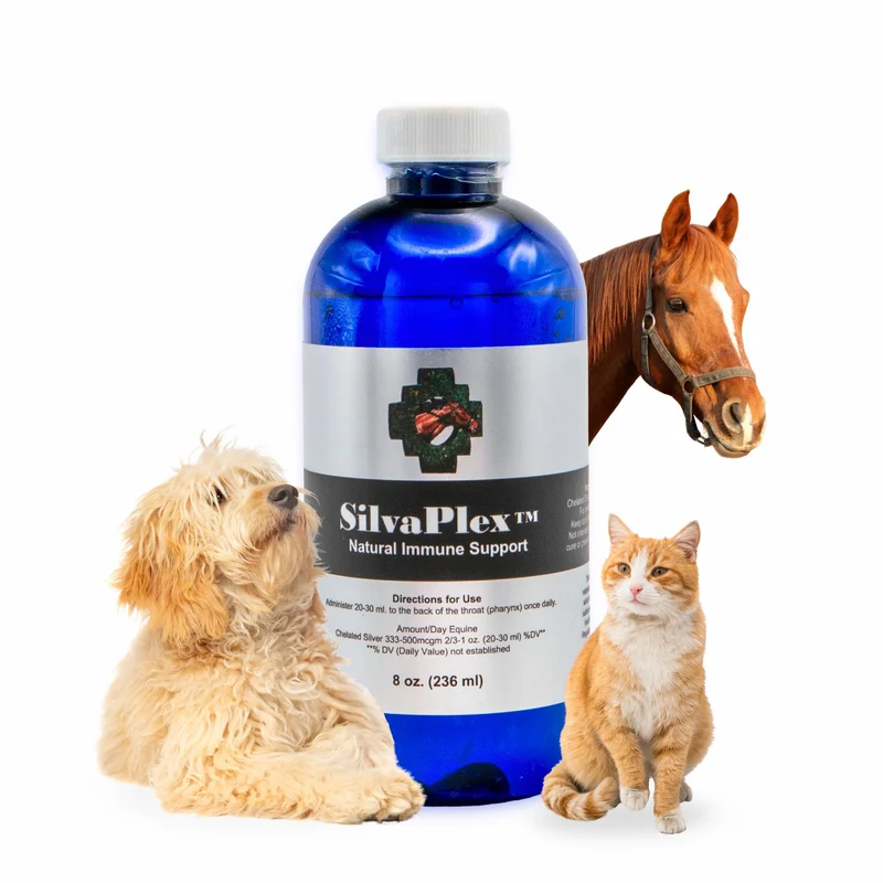 SILVAPLEX – Solution naturelle de soutien immunitaire 100 ppm argent chélaté pour chiens, chats, chevaux et bétail (8 oz)