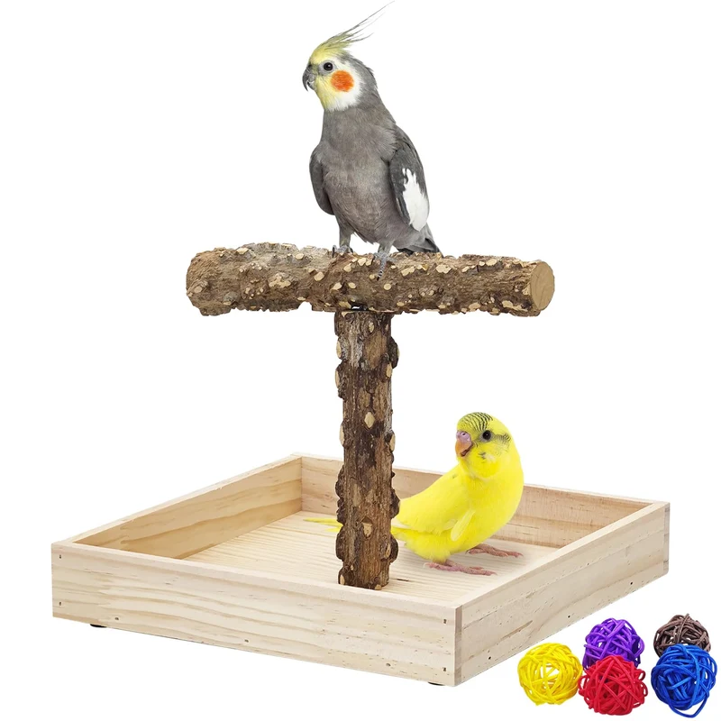 BNOSDM Perche portable pour oiseaux avec bac potty – Gym d'entraînement sur table