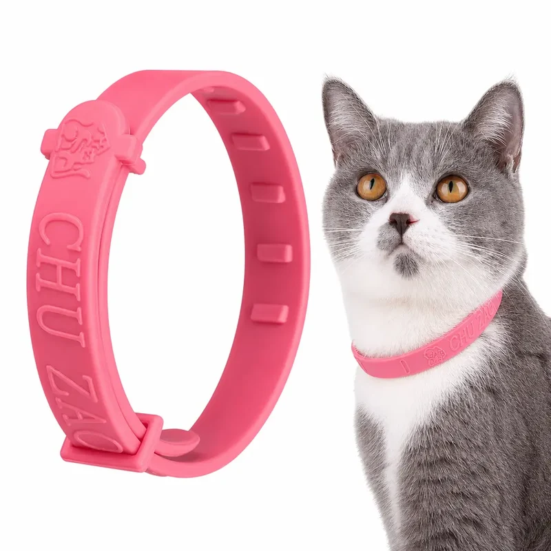 Anti Puce Chat et Chaton Sous Forme de Collier