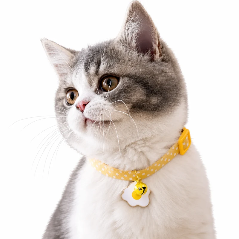 Collier réglable avec clochette pour chaton