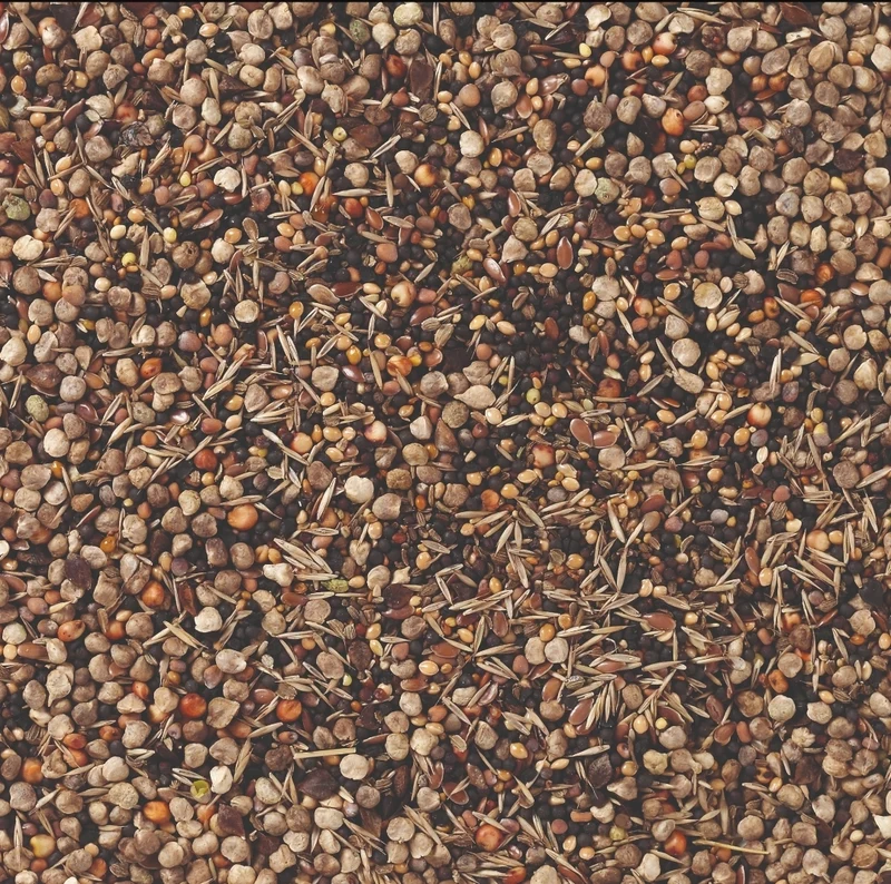 Graines sauvages 1 kg (graines de cannabis) - Deli Nature 94
