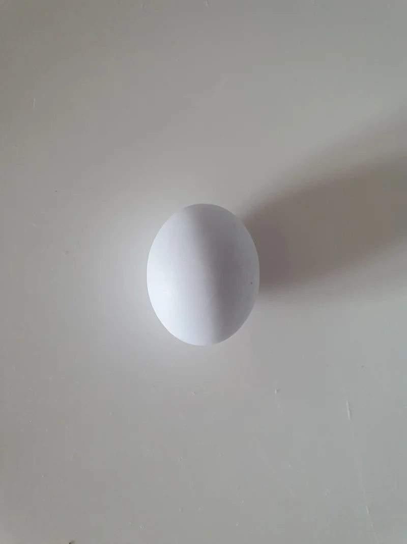 Oeuf plastique grande perruche 3cm