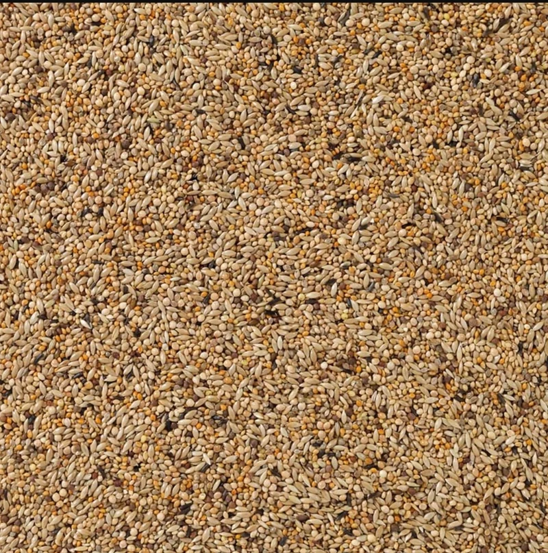 Deli Nature 84 APV Goulds 5kg (auto-emballé)