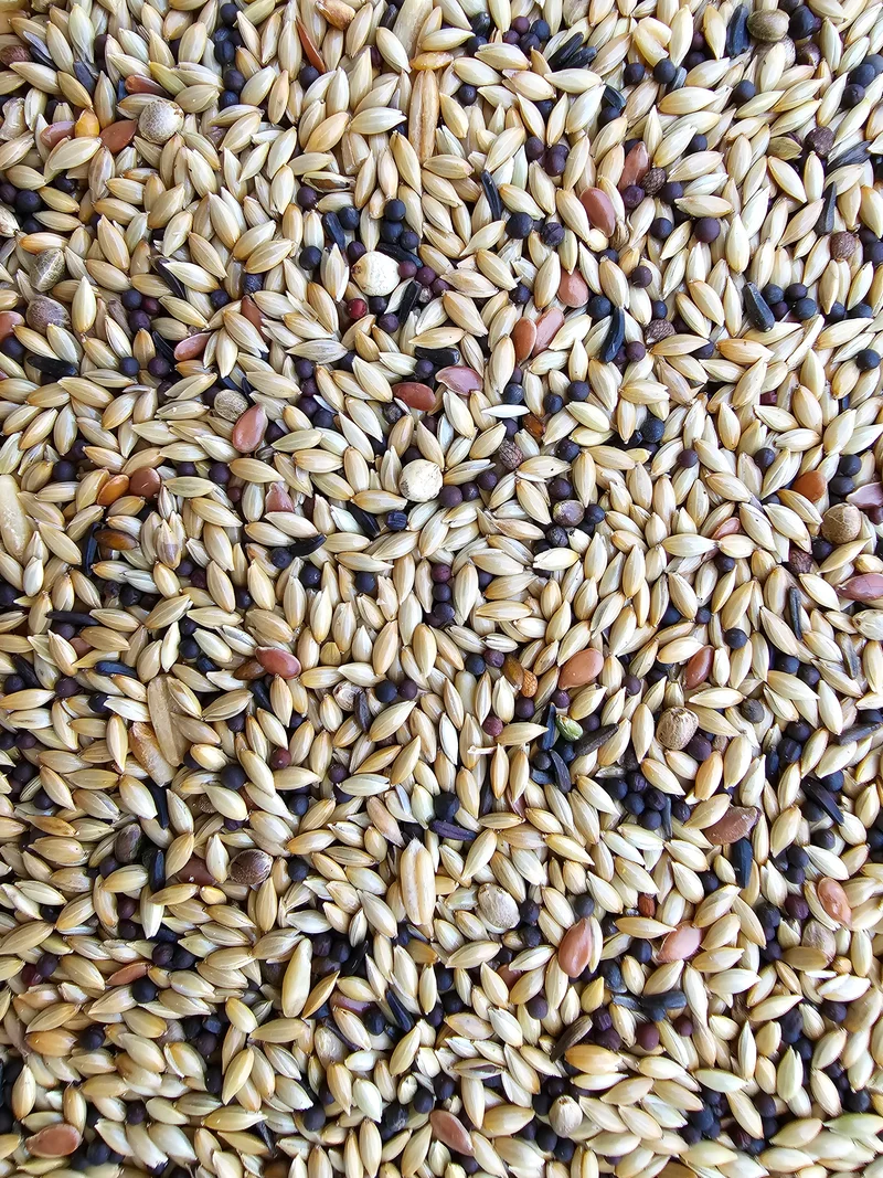 Deli Nature 55 - Kanarie Suprême - 5kg