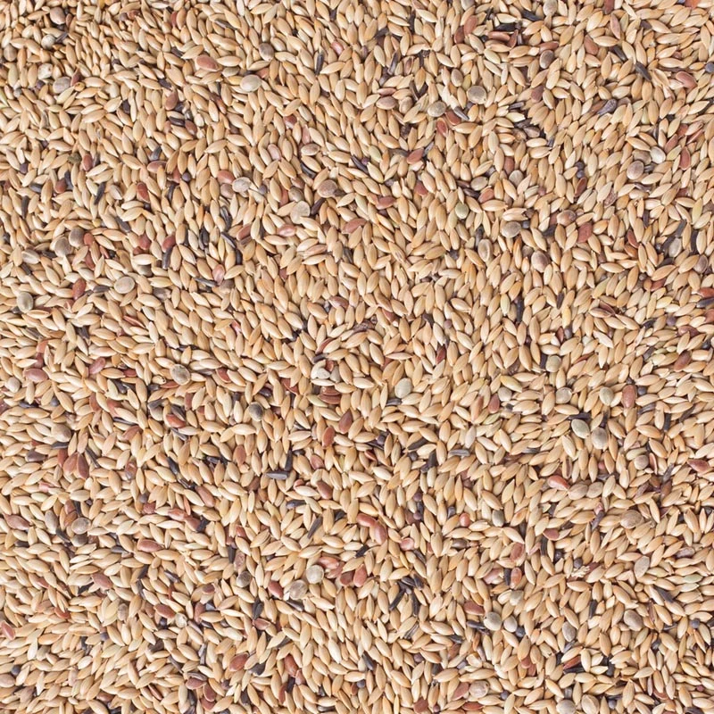 Deli Nature 81 Canary Light Sans Colza 5kg (auto-emballé)