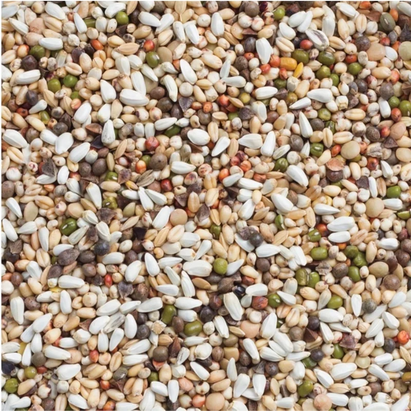 Deli Nature 33 Grande Perruche et Germe de Perroquet 15kg