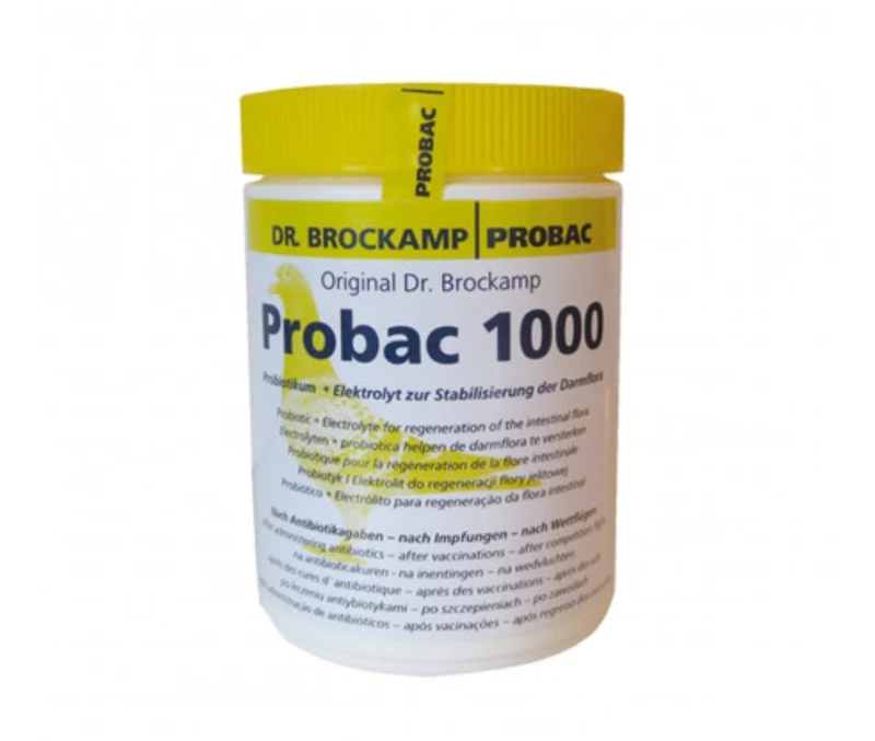 Probac 1000 (Équilibre intestinal) - Dr Brockamp