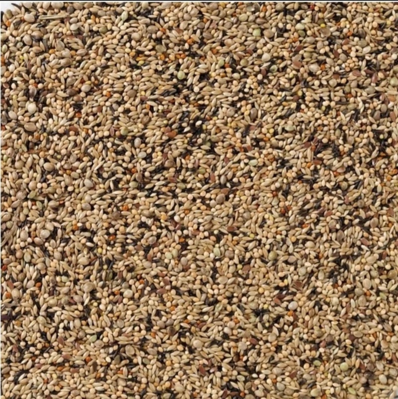 Deli Nature 70 Neophema Premium 5kg (auto-emballé)