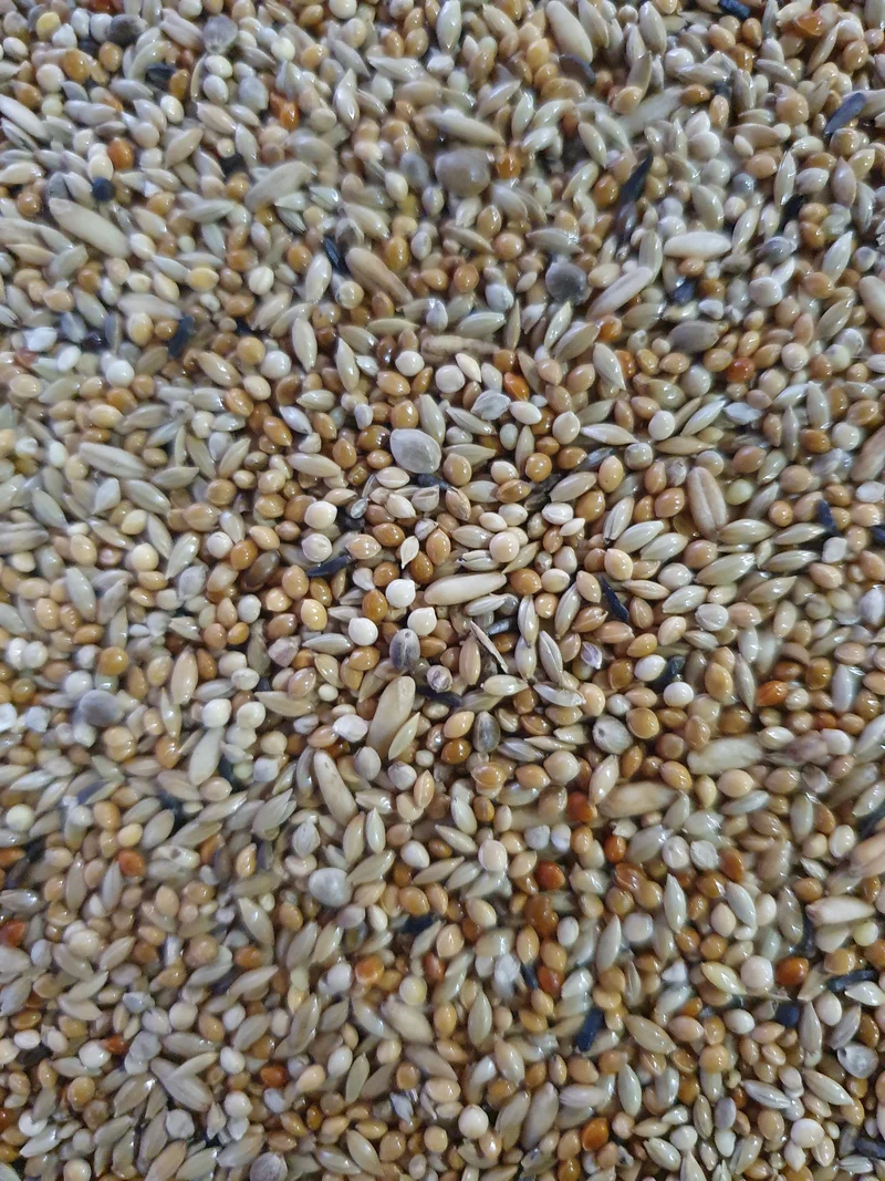 Deli Nature 66 Perruches Super 5kg (auto-emballé)