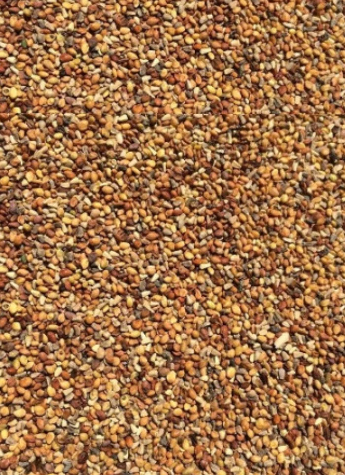 Plantain 1kg