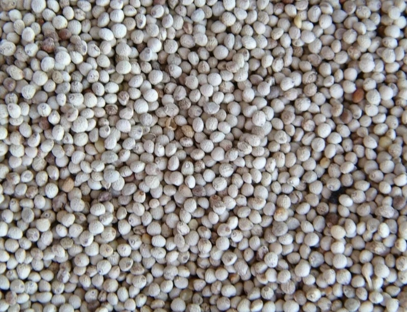 Périlla Blanche 1kg