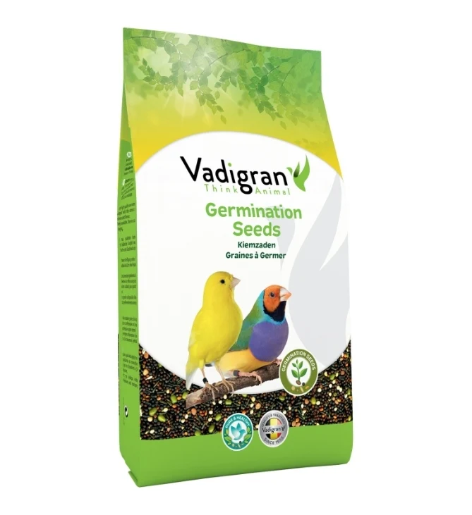 Graines germées originales 1 kg - Vadigran