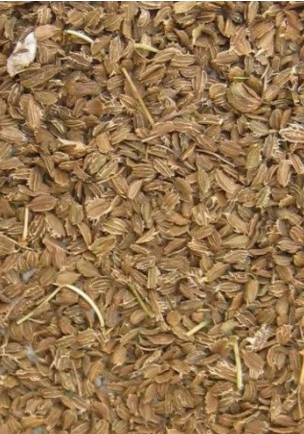 Graines de carotte 20kg - Grizo