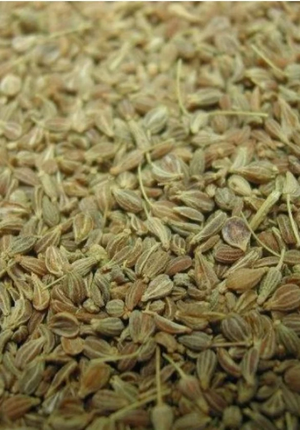 Graines d'Anis 25kg - Grizo