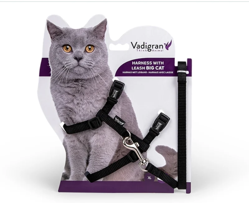 HARNAIS+LAISSE BIG CAT NOIR 34/57CM+120CM