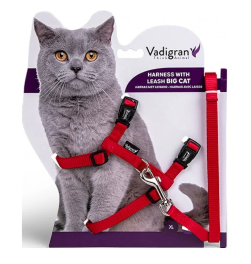 HARNAIS+LAISSE GROS CHAT ROUGE 34/57CM+120CM