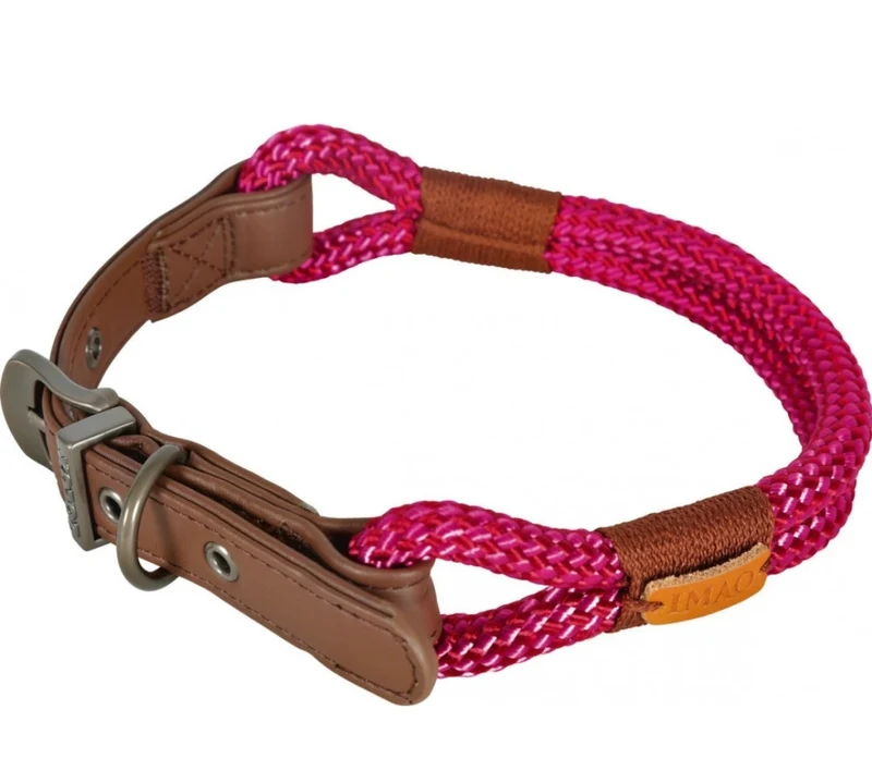 Zolux Collier pour chien Imao Hydepark Rose 40cm x 6mm