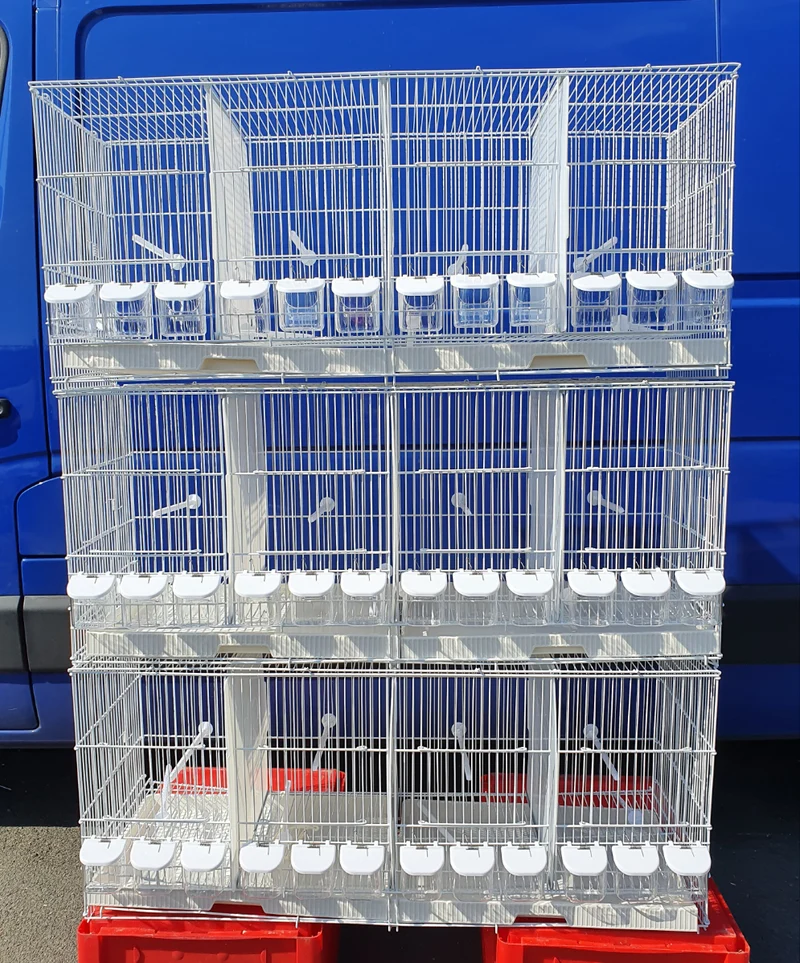 Cages d'élevage empilables en fil de fer blanc 102 cm (boîte de 3)