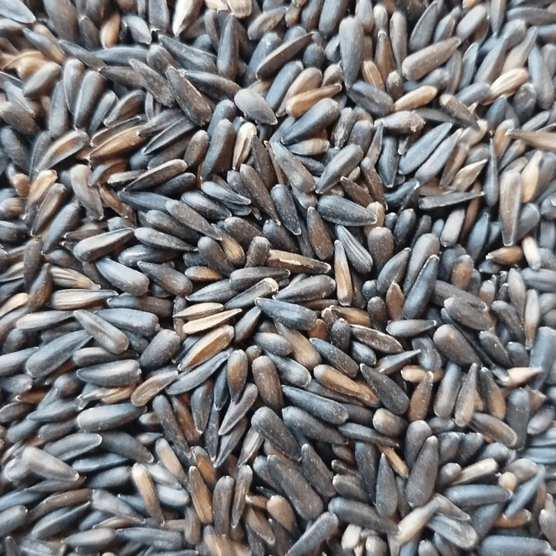 Micro Graines de Tournesol Noir 1kg