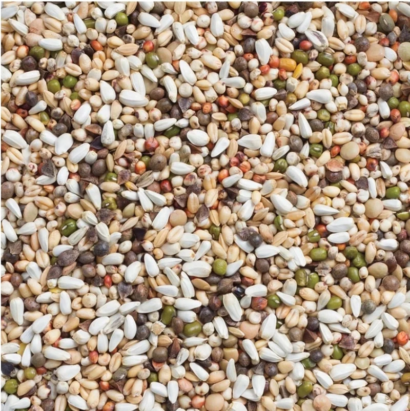 Deli Nature 33 Graines de Germination Grandes Perruches 1kg