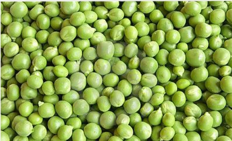 Petits pois verts 1kg - Versele Laga