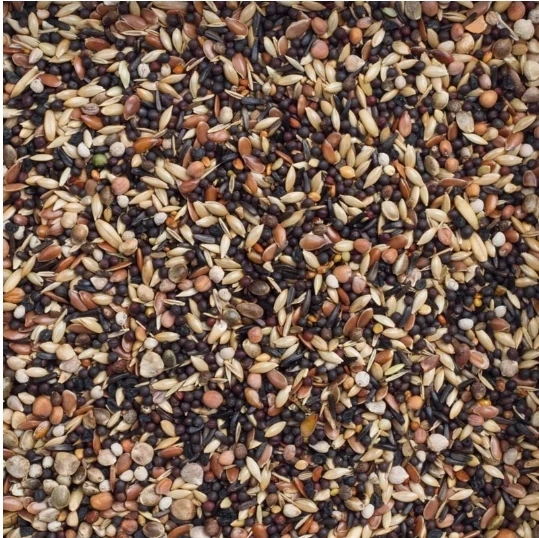 Deli Nature 99 Oiseaux Européens Basic 5kg
