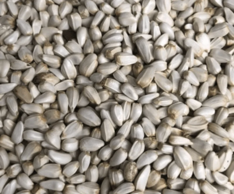Cardi 1kg (Graines de Carthame)