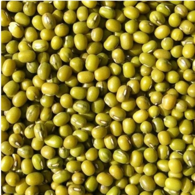 Katjang Idjoe (graines germées - haricots mungo verts) 1 kg