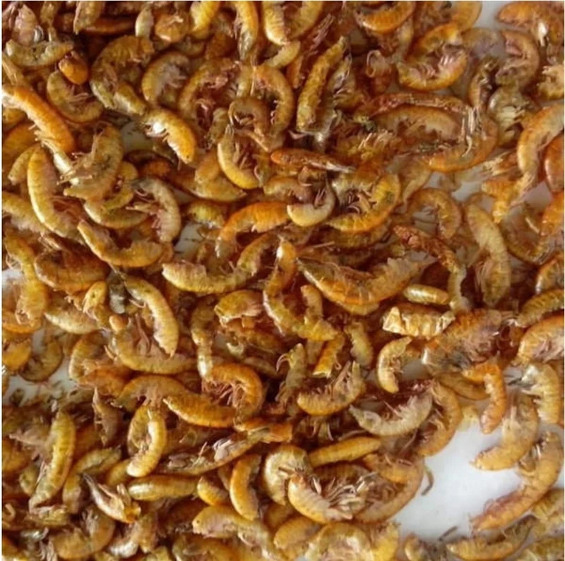 Gammarus (crevettes d'eau douce séchées)
