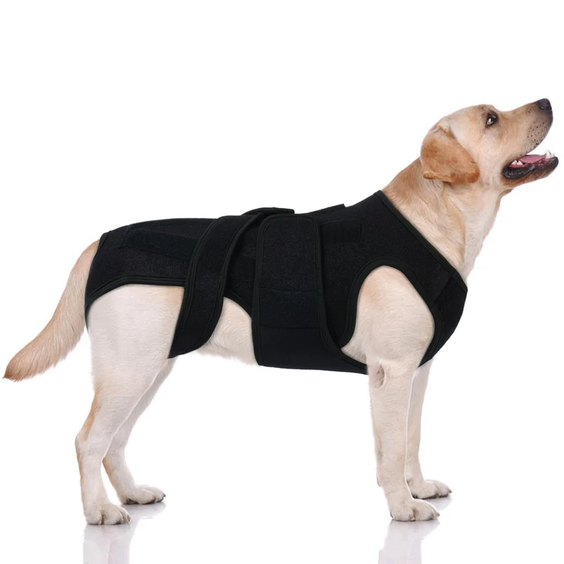 LeleTail Attelle dorsale post‑opératoire pour chiens géants – Stabilite rachidienne extra longue, 5 rails plastiques, respirante, réglable, noir 2XL