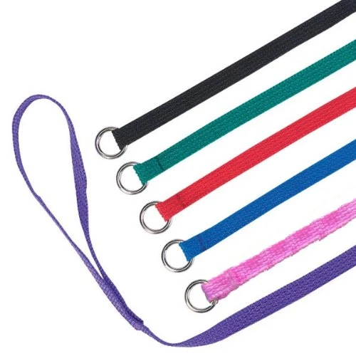 Downtown Pet Supply Laisse-slip pour chien – Lot de 120, longueur 4 pieds et largeur 1/2 pouce – Laisse universelle avec anneau O métallique, lavable en machine