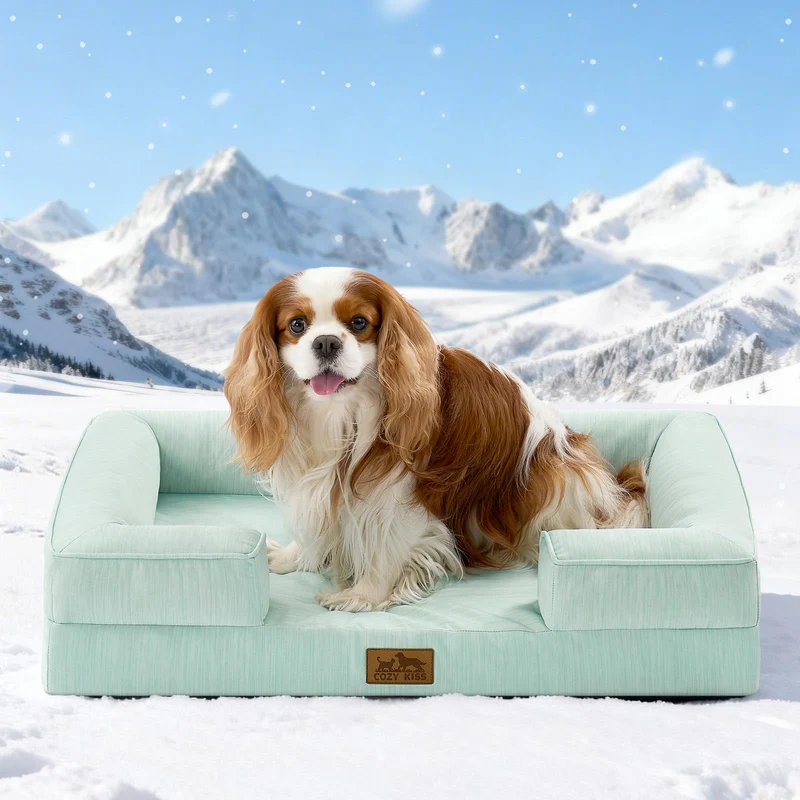 COZY KISS Lit pour chien – Rafraîchissant (M/S), sofa orthopédique avec rebords, housse lavable – Vert 30x20x6 po