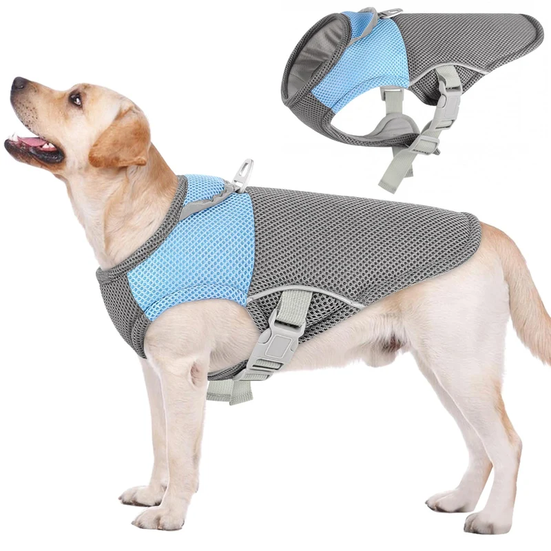 Gilet Refroidissant AOFITEE pour Chien – Bleu XL, Harnais D‑Ring, Léger et Respirant