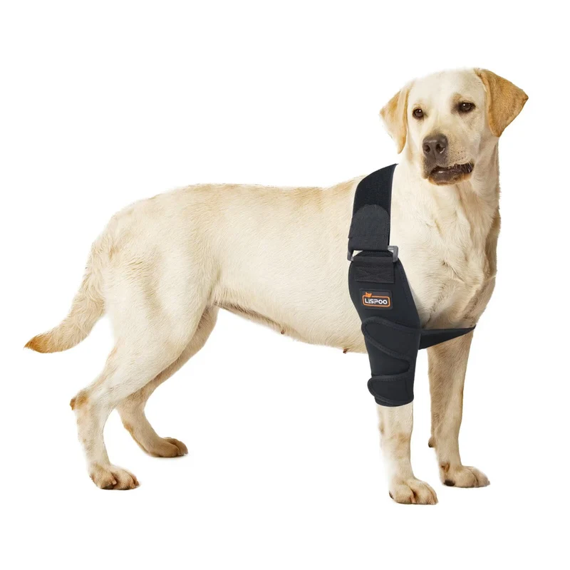 TIPOOP orthèse coude chien Taille S – Soutien pour patte droite, dysplasie et arthrite chez petites races