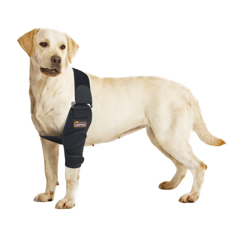 TIPOOP Attelle de coude pour chien Gauche L – Soutien léger pour arthrite, dysplasie et hygrome