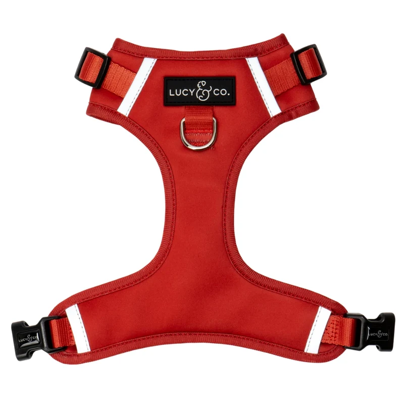Lucy & Co. Harnais anti-traction L'Éclair — Veste pour chien, attaches avant et arrière, rouge, taille Large