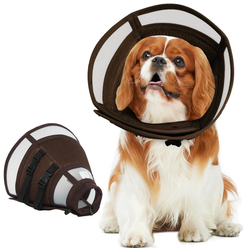 MORVIGIVE – Collier élisabethain pour petits chiens (M) – Alternative confortable et ajustable pour empêcher le léchage
