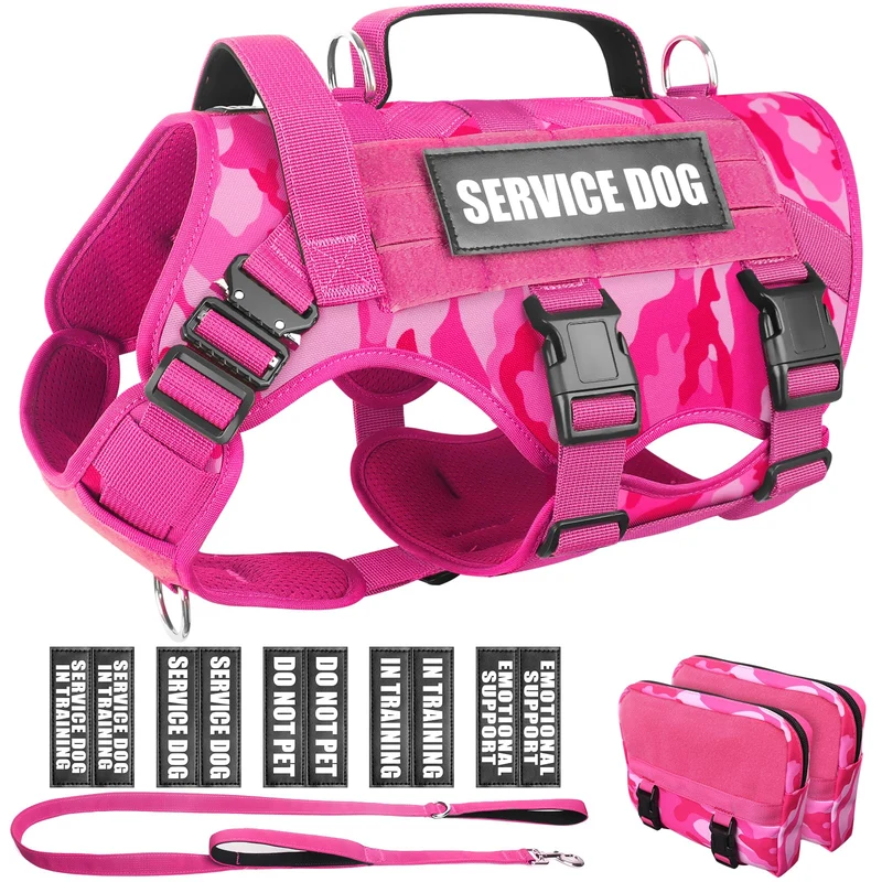 WINSEE Harnais Tactique pour Chien avec Laisse et Patchs MOLLE – Grand Modèle Anti-Tirage