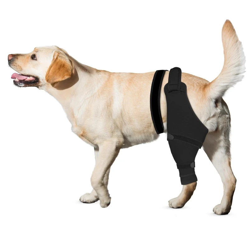 Joypig manchon pour patte arrière – Protection post‑opération et confort, gauche, 2XL, noir