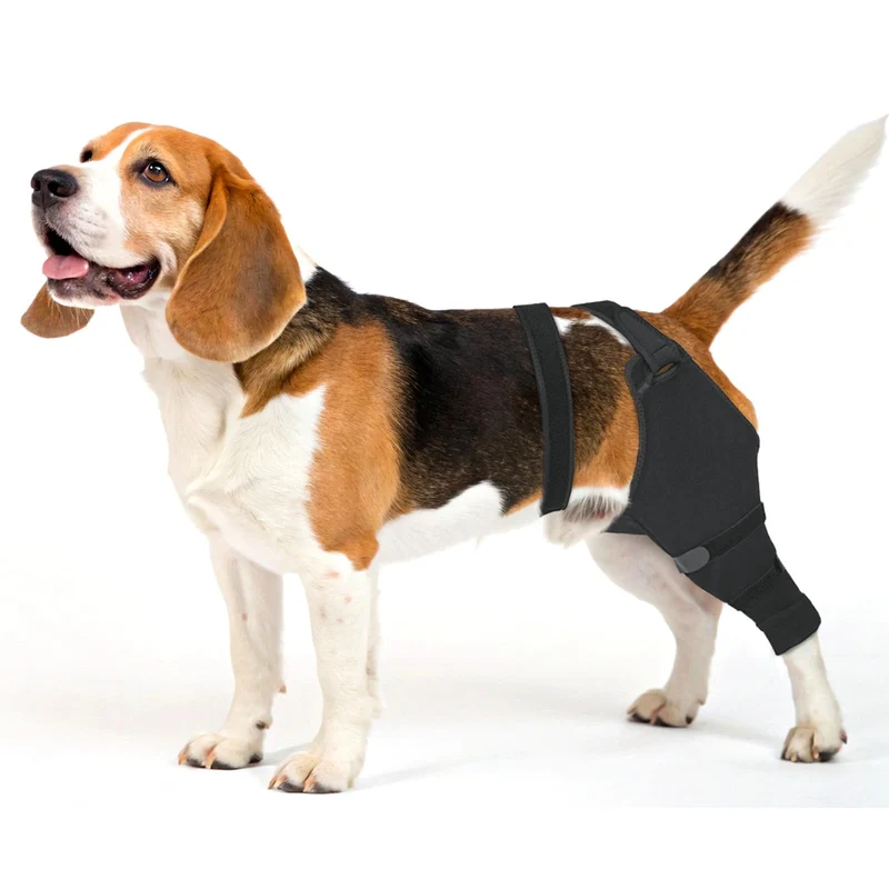 Joypig Manchon Jambe Arriere – Protection Post-Chirurgie Chien (XL, Gauche)