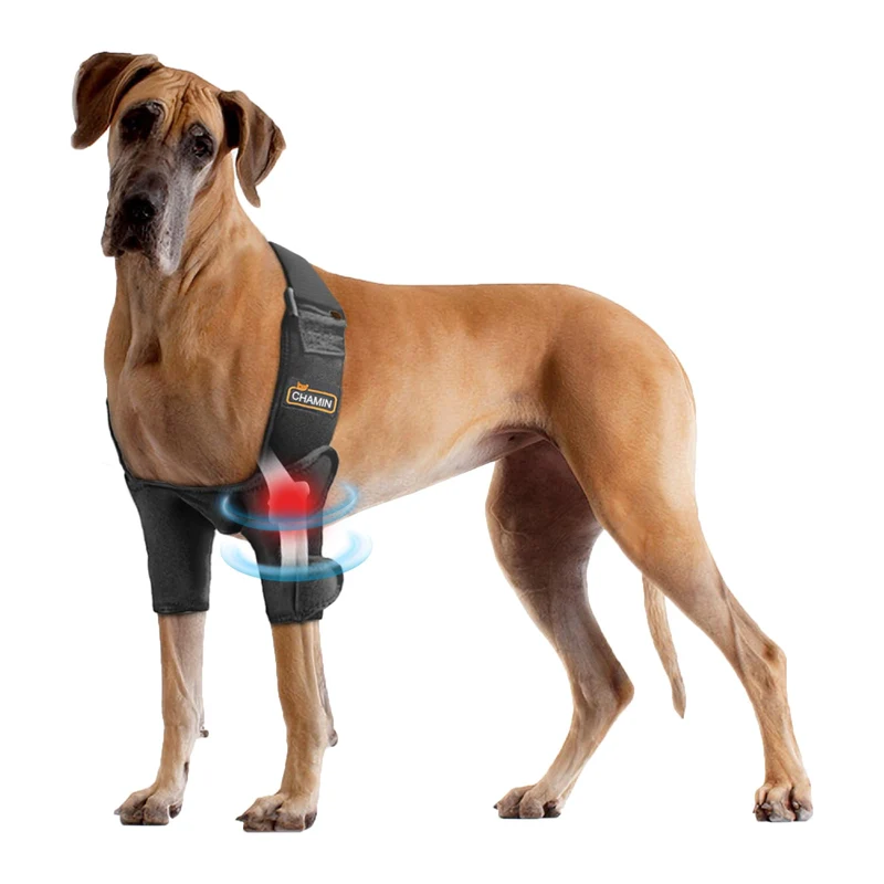 CHAMIN Attelle de coude pour chien XXL — Protection de l’épaule et de la patte avant